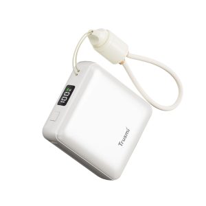 TRUSMI PB06-02 PD22.5W Single C Digital Display Power Bank 10000mAh with C to C Cable Grey